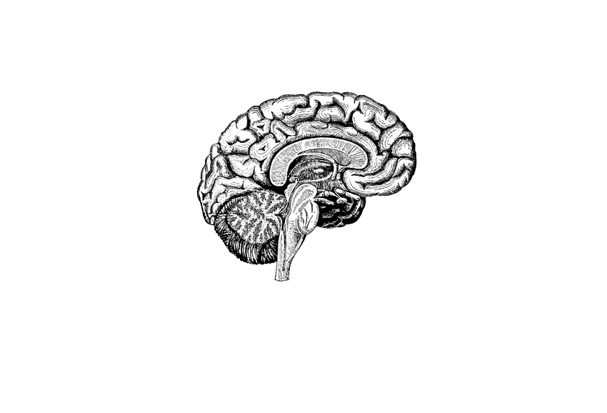 Das menschliche Gehirn ist ein komplexes System.